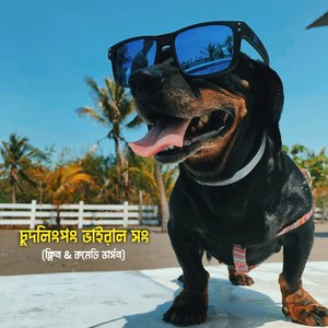 চুদলিংপং ভাইরাল সং (ক্লিন & কমেডি ভার্সন)