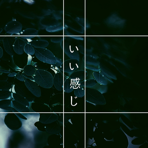 The Mist Covered Mountain