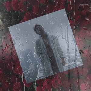 {待售} 沉默的进入