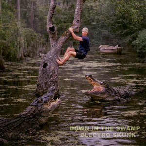 Down in the Swamp