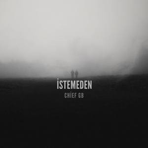 İSTEMEDEN