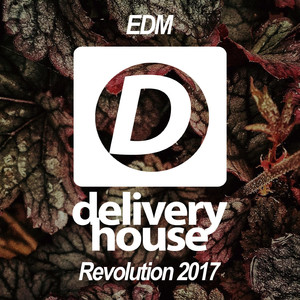 Waterfall (Original Mix)