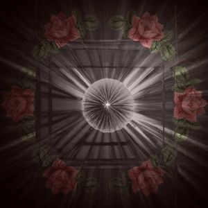 Sacred Echoes in The Cathedral of Light