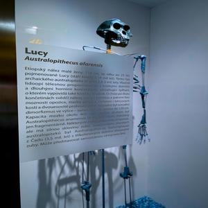 vzdusny zamky (feat. oxidwaste)