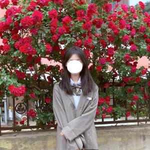 当时与我赏花人 点检如今无一半