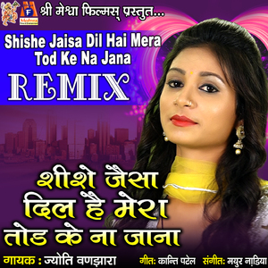 Shishe Jaisa Dil Hai Mera Tod Ke Na Jana (Remix)