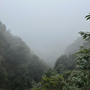 你说你不会哄人 于是我咽下了所有委屈