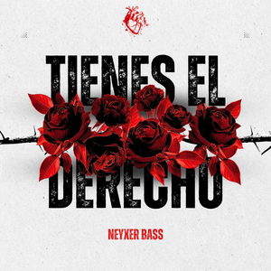 TIENES EL DERECHO