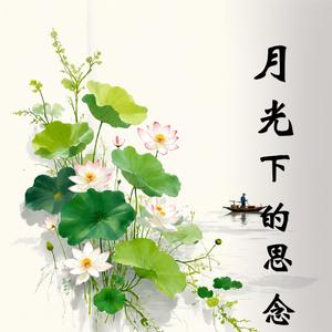 寒灯旧梦_2026