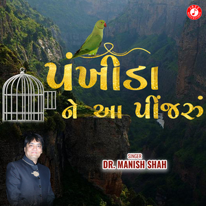 Pankhida Ne Aa Pinjaru
