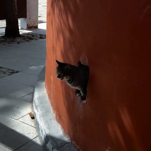 我喜欢（Prod.SSR Studio）