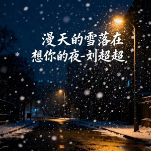 漫天的雪落在想你的夜