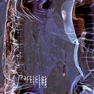 Drops (Original Mix)