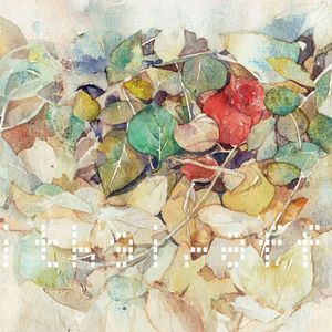 庭園にて（翻自 acane_madder）