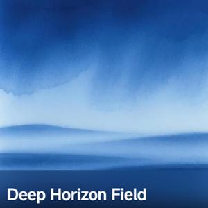Deep Horizon Field