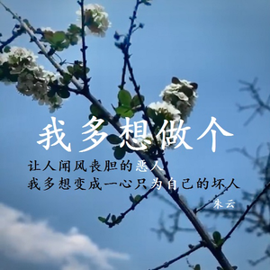 我多想做个 伴奏
