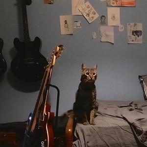 Μπλε Δωμάτιο (Blooroom)