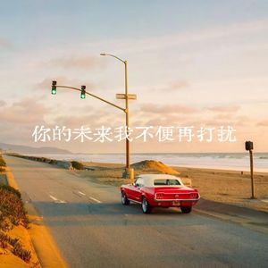 你的未来我便不再打扰