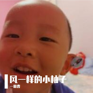 风一样的小柚子