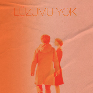Lüzumu Yok