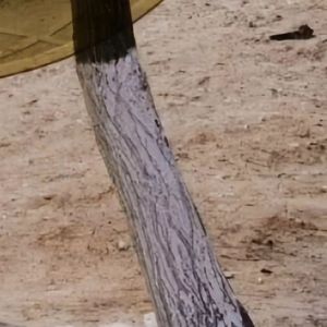 叉烧包（prod byZSbeats）