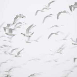 基督-圣歌-白噪音