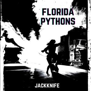Jackknife