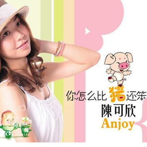 你怎么比猪还笨