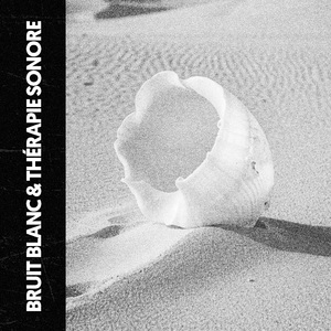 Ozeanische Traumreflexionen