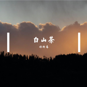 白山茶（抖音吉他版）