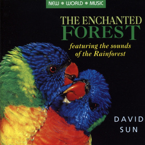 Enchanted Forest (A)