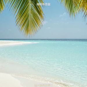 适合酒店温和的音乐