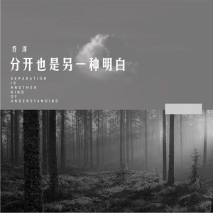 分开也是另一种明白