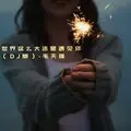 世界这么大还是遇见你 (Dj版)