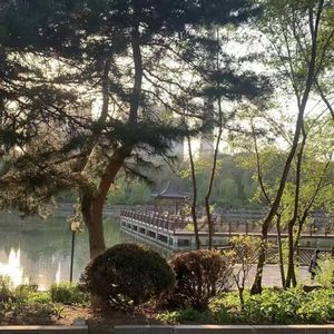 SASI x Pain Type Beat