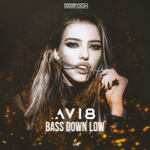 Bass Down Low (Original Mix)