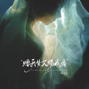 赠我梦又赐我痛