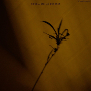 The Herbaceous Border