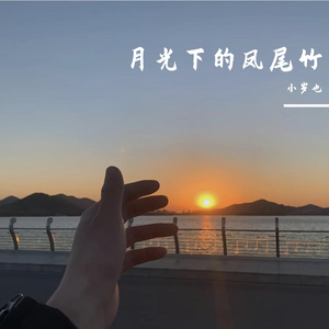 月光下的凤尾竹 伴奏