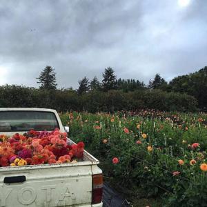 河南来电（Prod.by TRA$H）