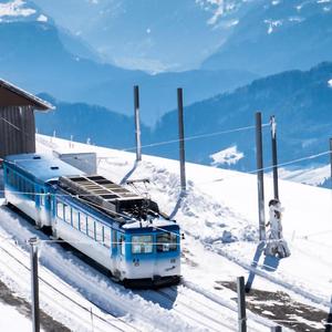 ⓢⓤⓝⓓⓐⓨ ⓢⓝⓞⓦ