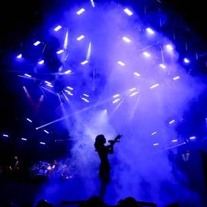 追光者（翻自 岑宁儿）