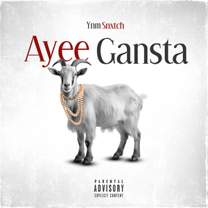 Ayee Gansta
