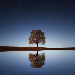 Природные Звуки