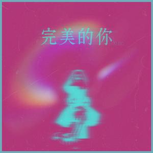 完美的你