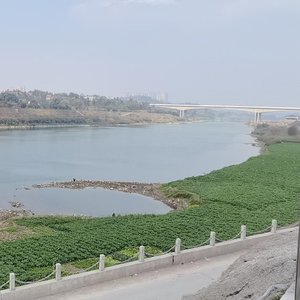 陈大爷钓鱼了女声