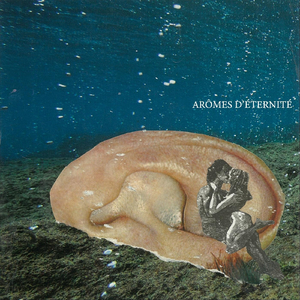 Arômes d'éternité