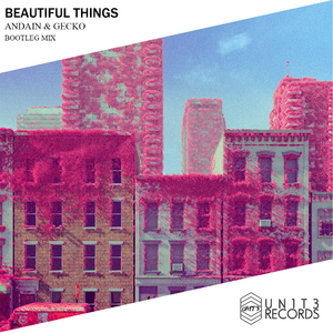 Andain,Gecko - Beautiful things (Bootleg Mix)