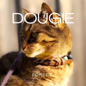 Dougie