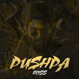 Pushpa Boss (Jhukega Nahi Slowed+Reverb)